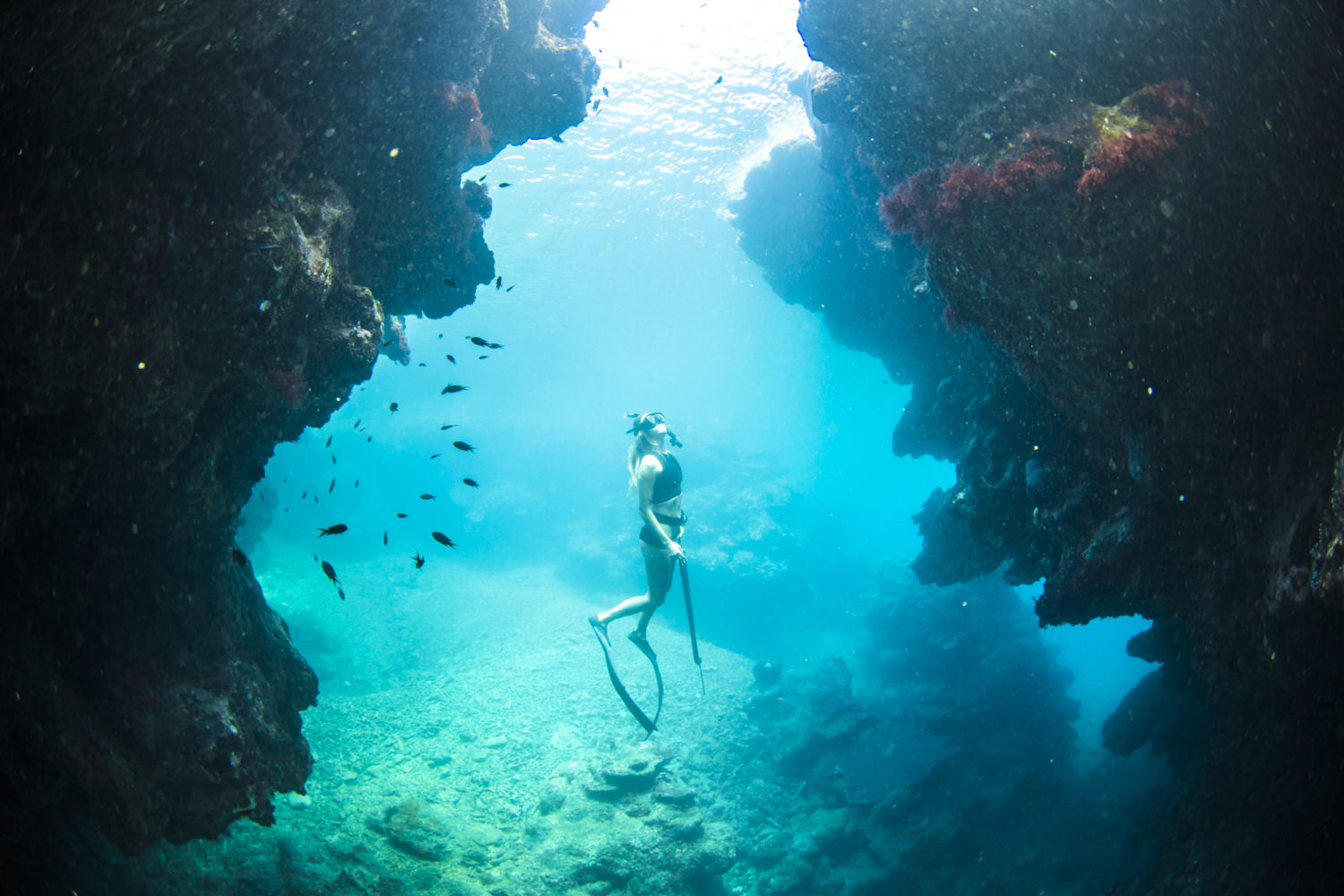 woman spearfishing underwater