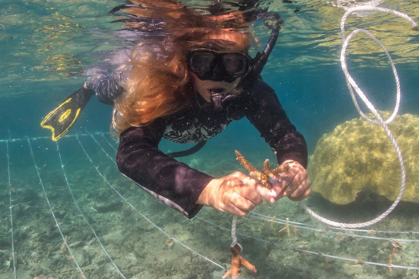 Coral reef restoration in Fiji