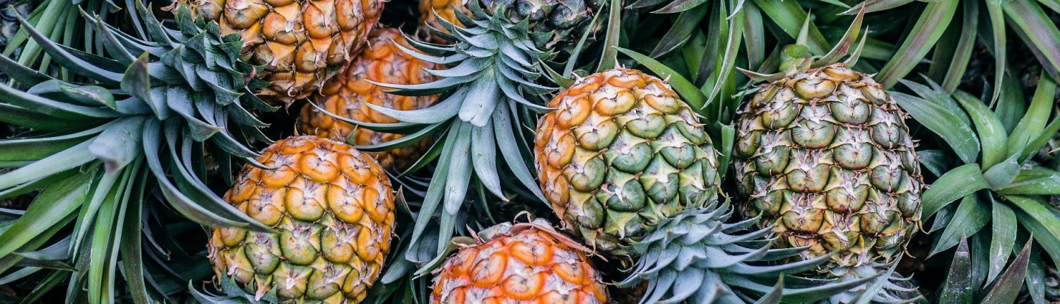 pile of pineapples